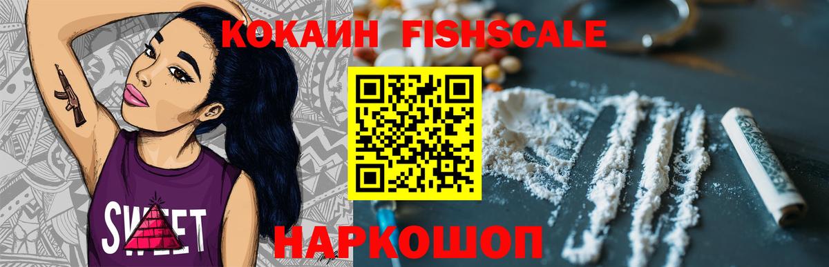 Губаха  Cocaine Fish Scale  COCAIN  Вход с VPN 