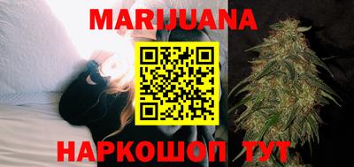 шишки Кандалакша