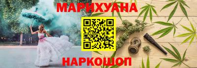 шишки Кандалакша