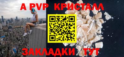 шишки Кандалакша