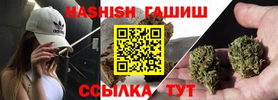 шишки Кандалакша