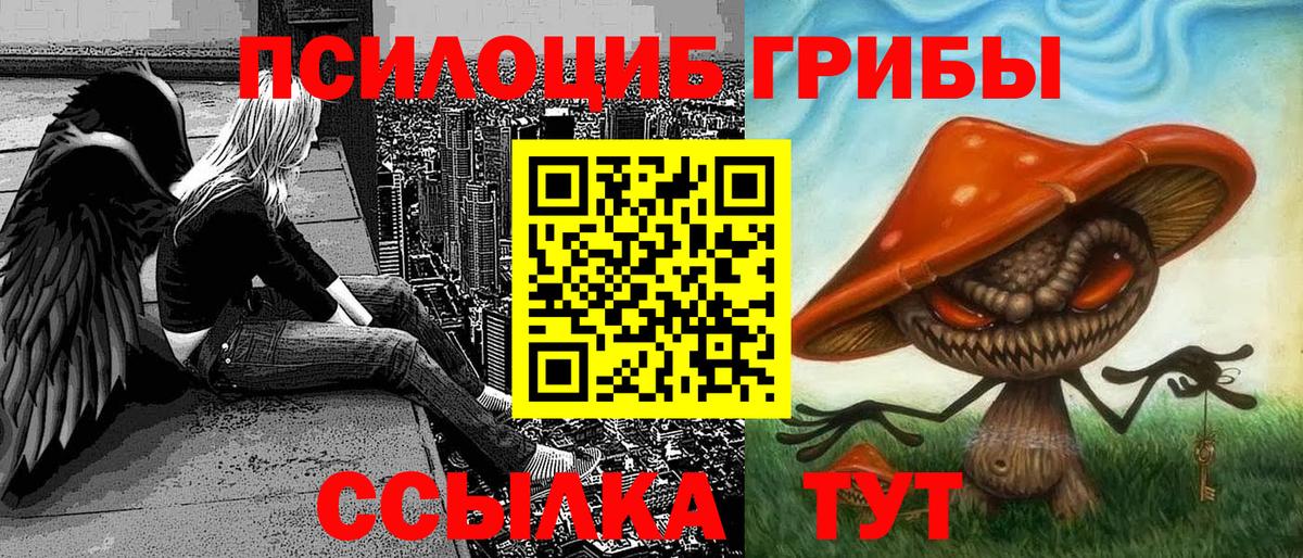 Губаха  Галлюциногенные грибы MAGIC MUSHROOMS  Вход с VPN 